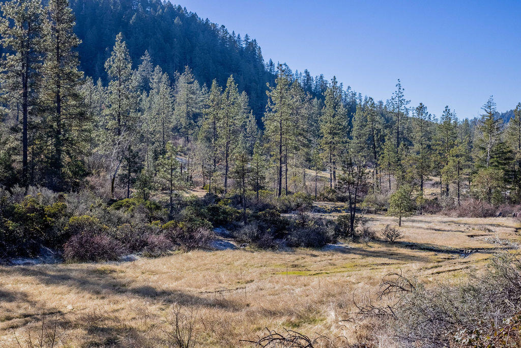 0 Waldo Road, Unit 403 Cave Junction, OR 97523 - Photo 15 of 17 a view of a yard with trees