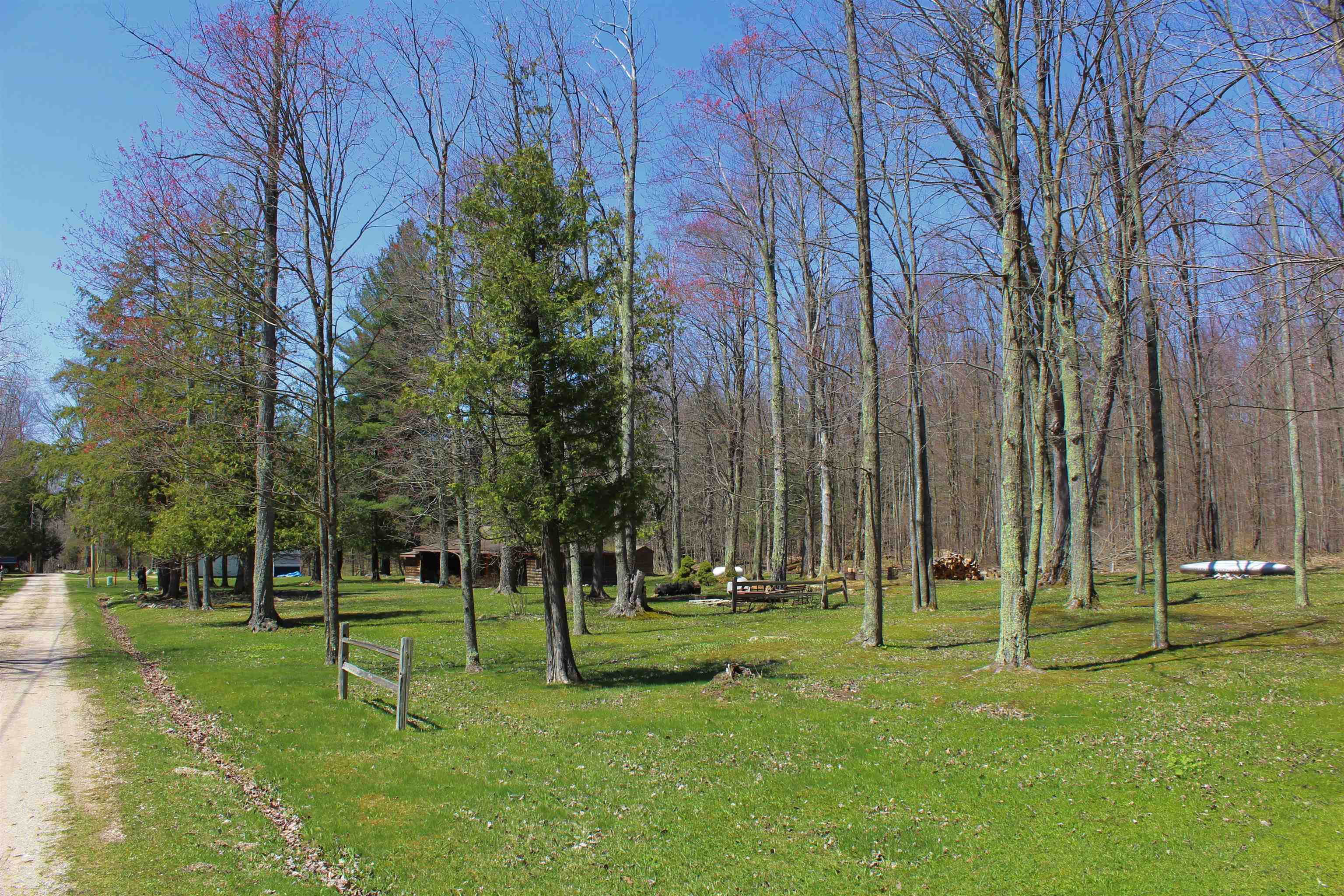 8626 Coat Road Benzonia, MI 49616 - Photo 3 of 18