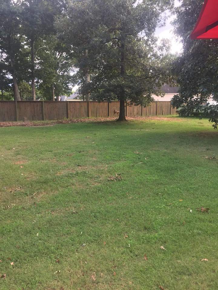 155 State Rd S-42-1214 Boiling Springs, SC 29316 - Photo 25 of 27