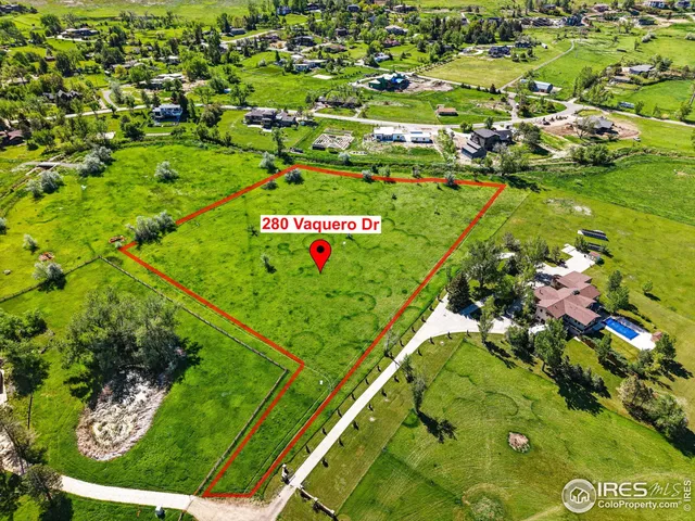 a view of a bunch of flowers