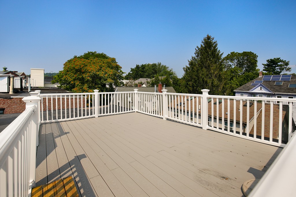 22 Perry Street, Unit 3 Brookline, MA 02445 - Photo 20 of 22 Gallery Image 20