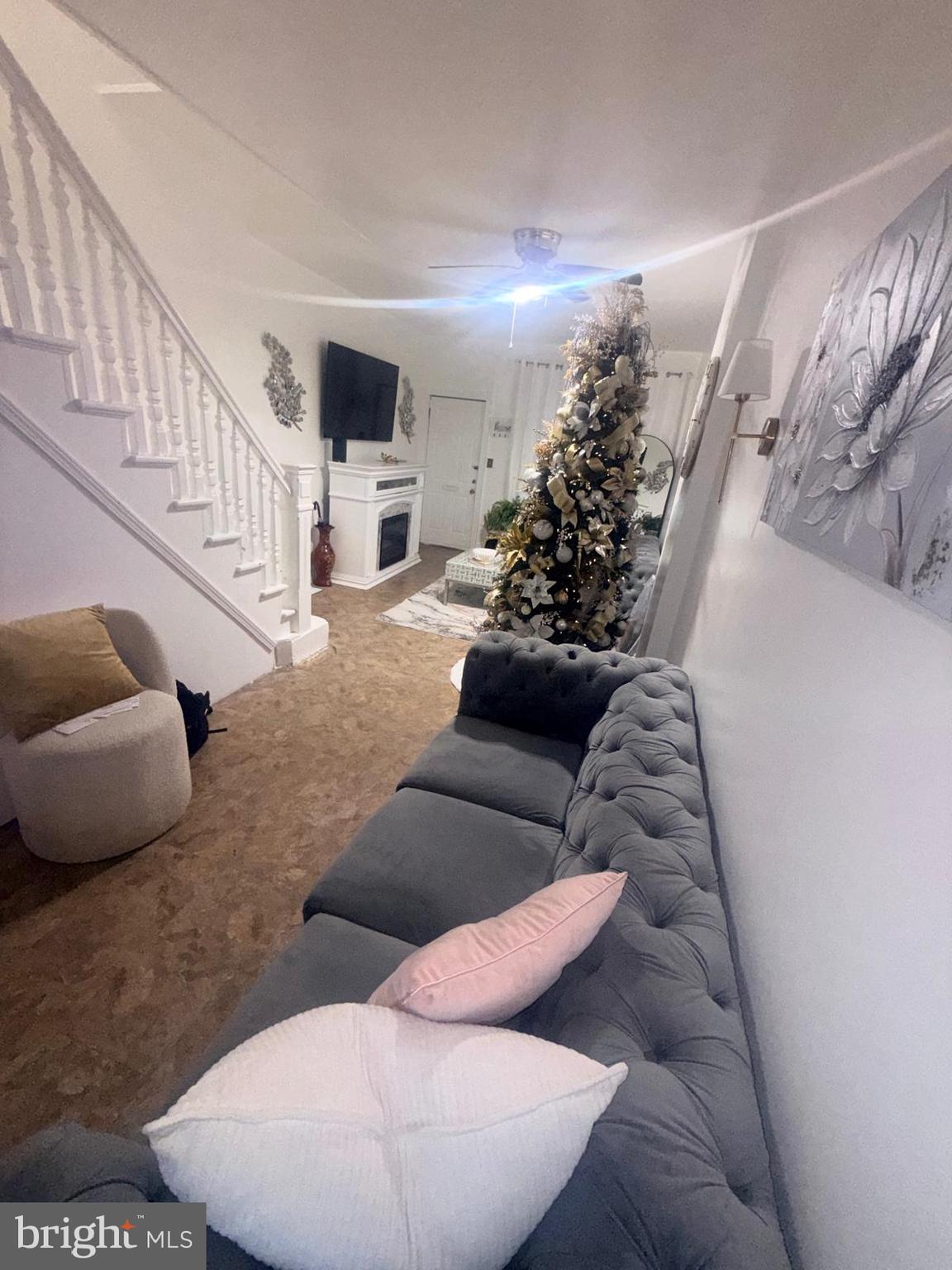 355 McKnight Street Reading, PA 19601 - Photo 29 of 70 a living room with furniture and a potted plant