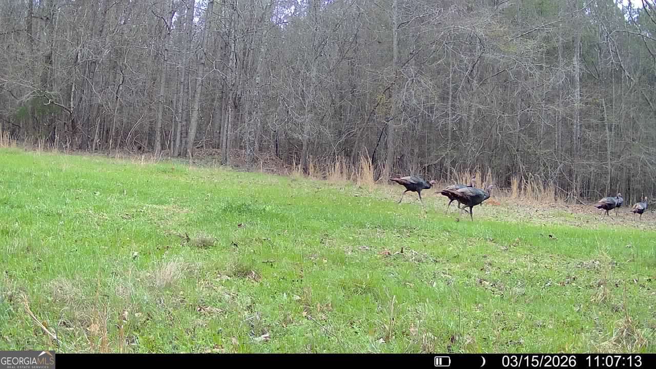 2190 Reese Road Rutledge, GA 30663 - Photo 56 of 60