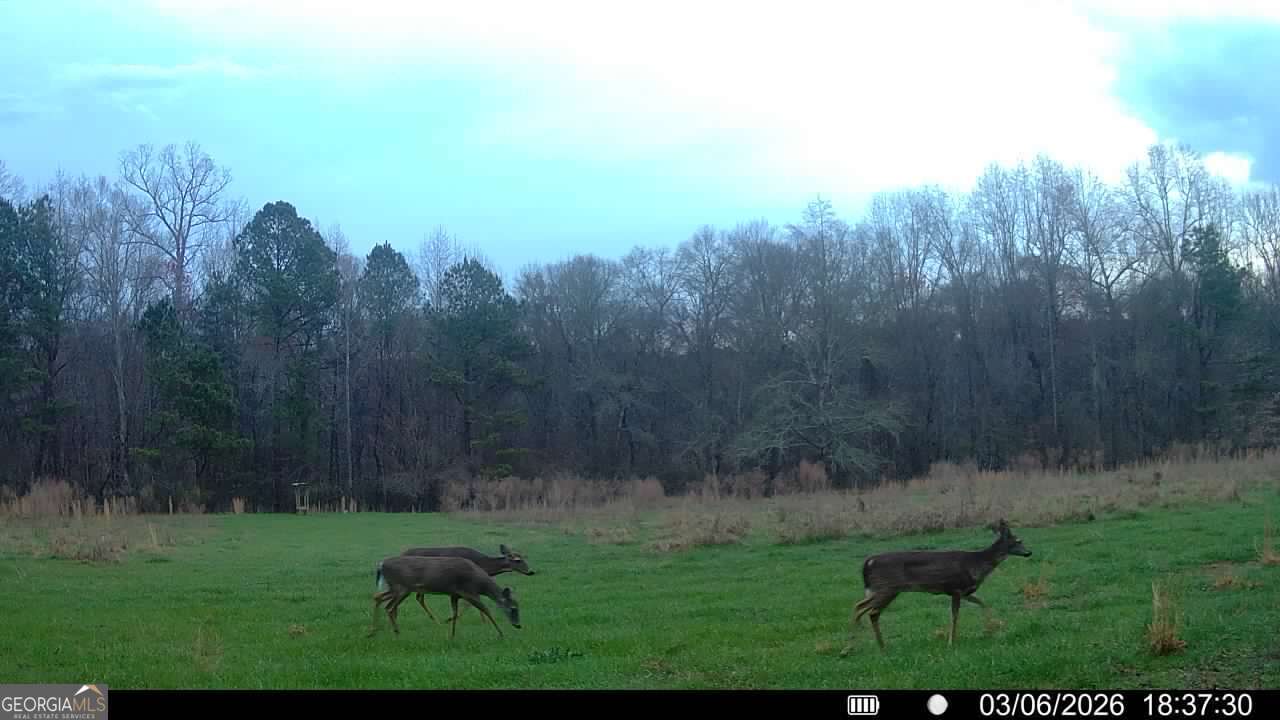 2190 Reese Road Rutledge, GA 30663 - Photo 57 of 60