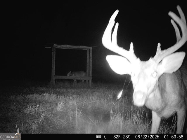 2190 Reese Road Rutledge, GA 30663 - Photo 60 of 60