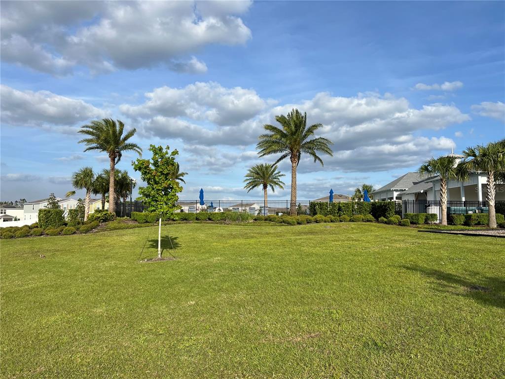 3009 Tansy Street Tavares, FL 32778 - Photo 26 of 28