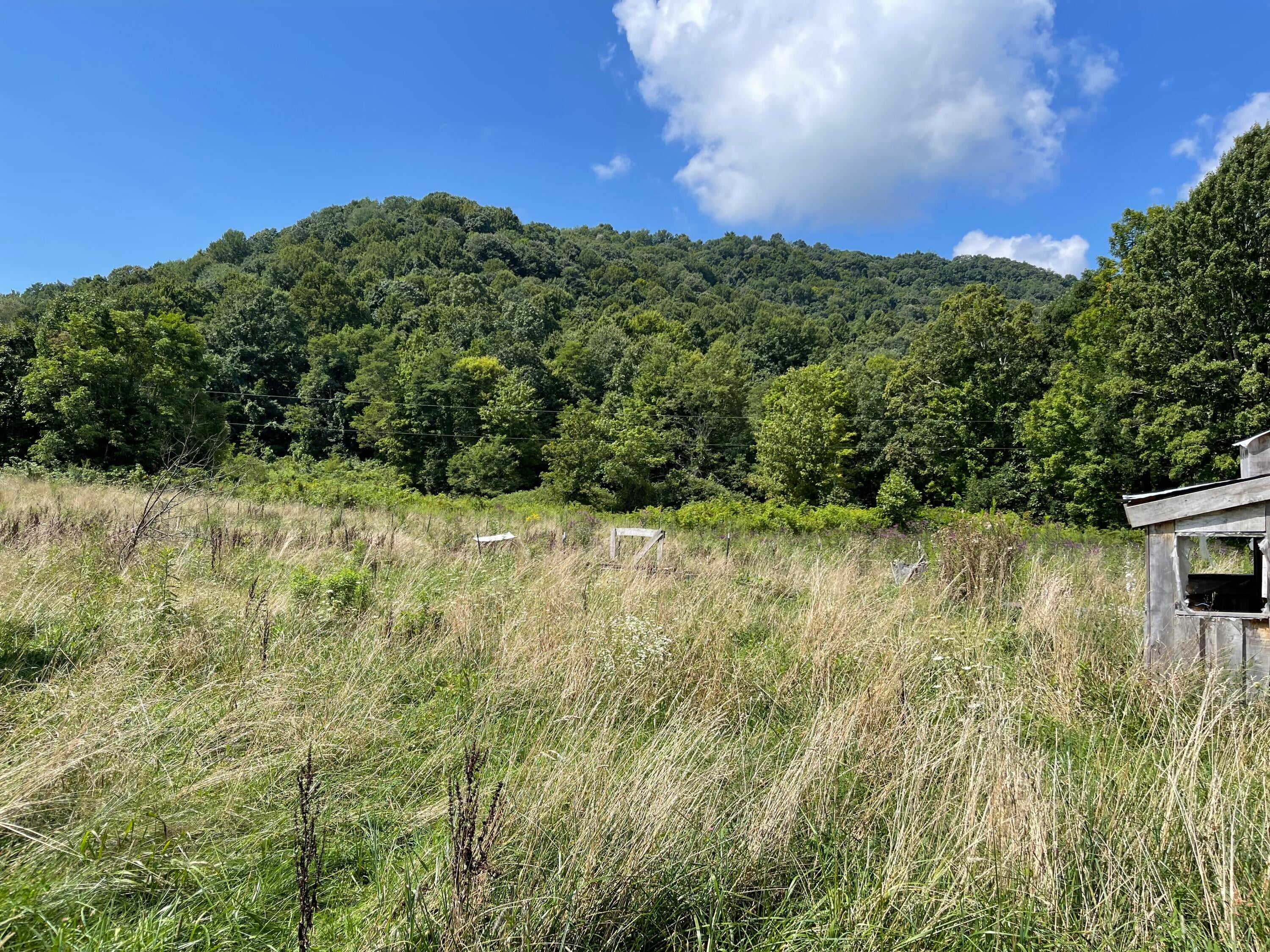 Ward Bench Road Sandstone, WV 25985 - Photo 48 of 92 Gallery Image 48