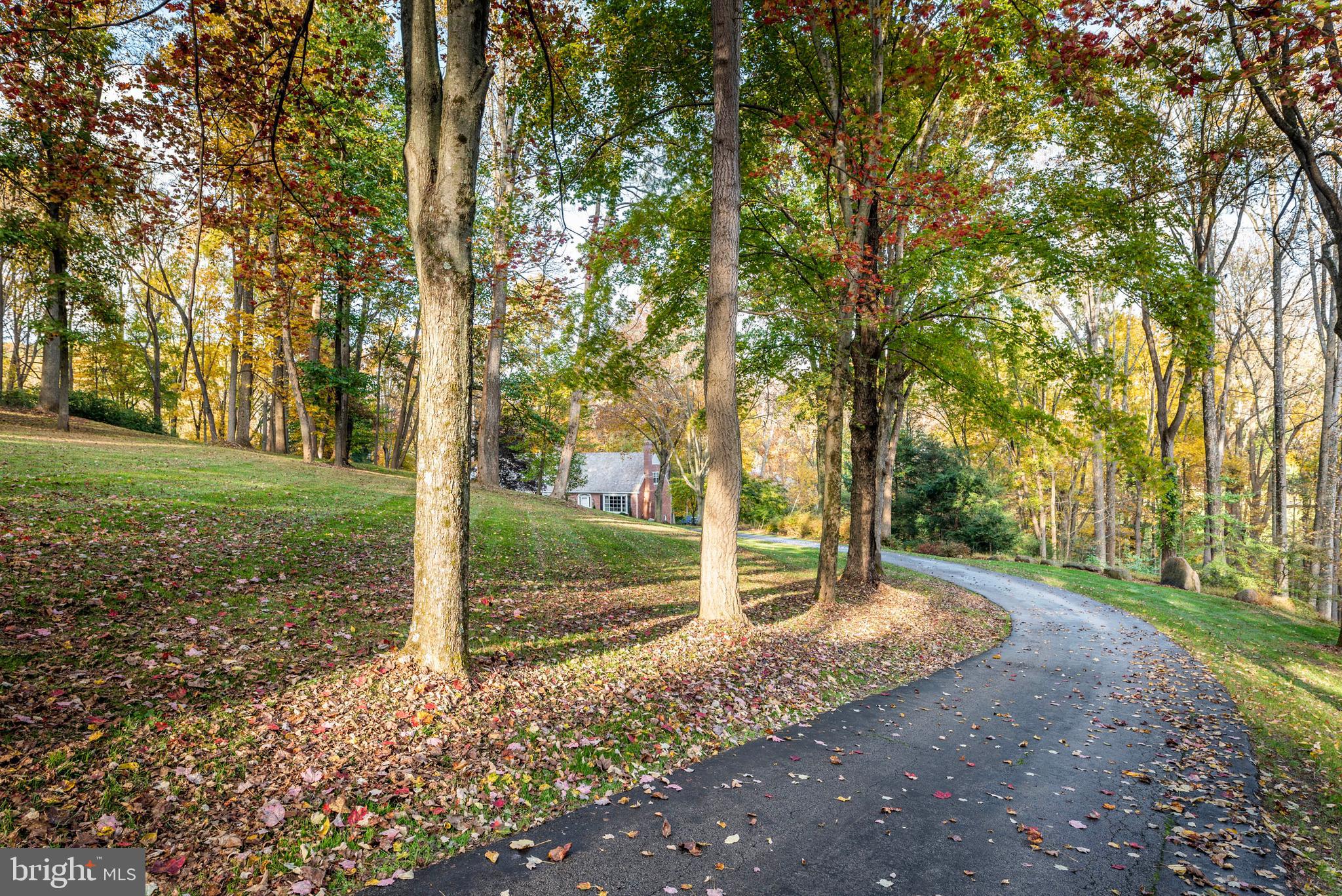 38 Rabbit Run Road Malvern, PA 19355 - Photo 2 of 67 Tree-Lined Driveway.