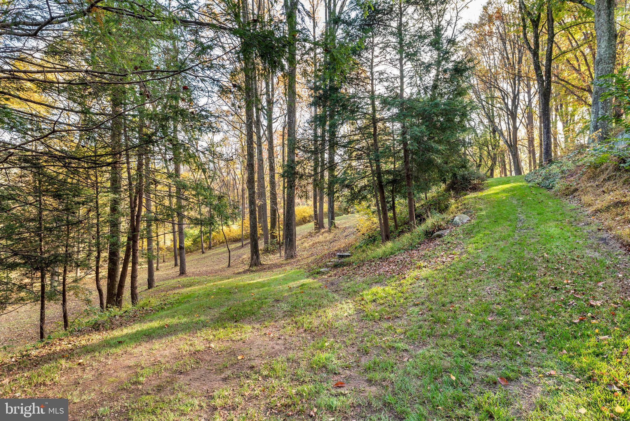 38 Rabbit Run Road Malvern, PA 19355 - Photo 58 of 67 Rear Yard.
