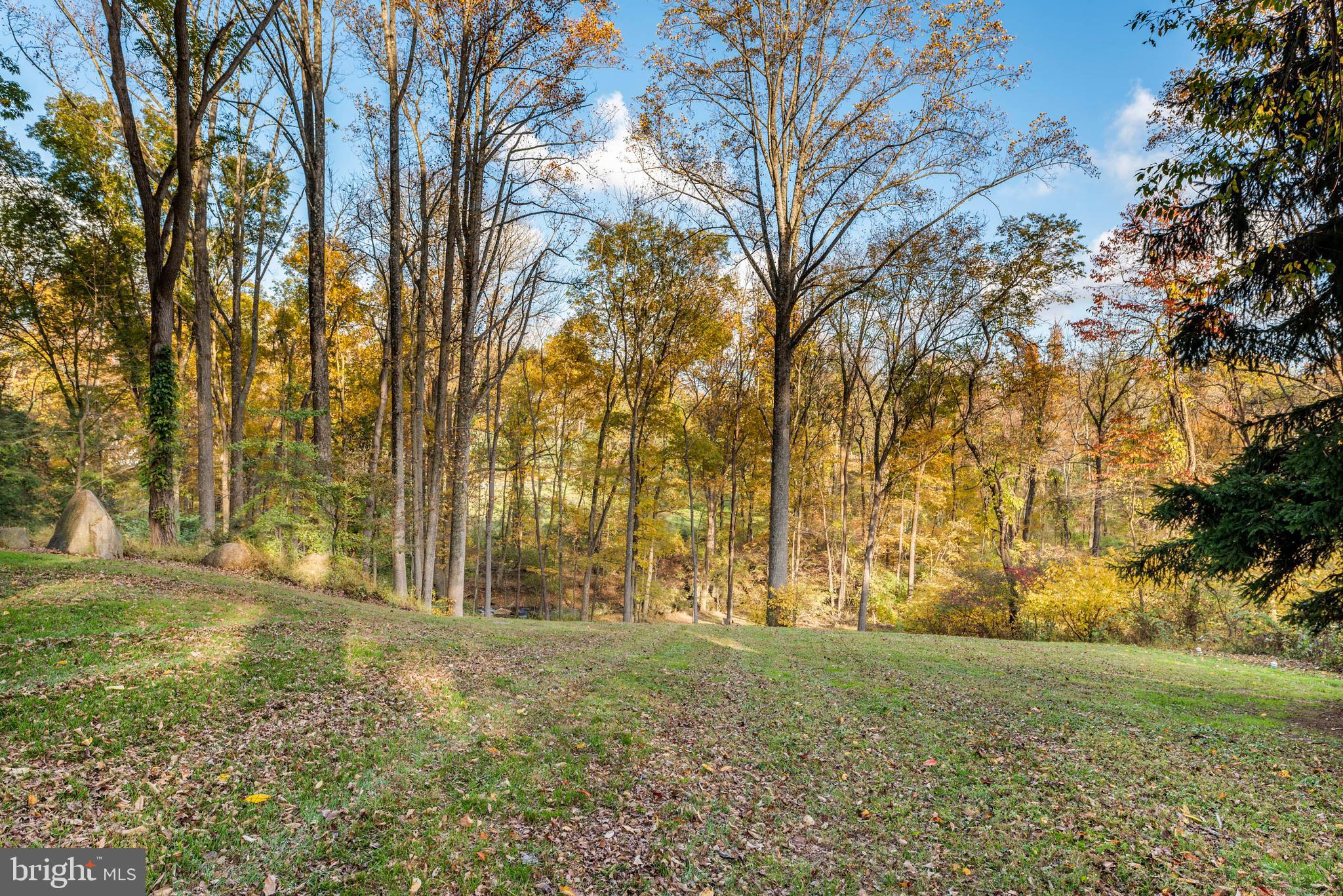 38 Rabbit Run Road Malvern, PA 19355 - Photo 59 of 67 Rear Yard.