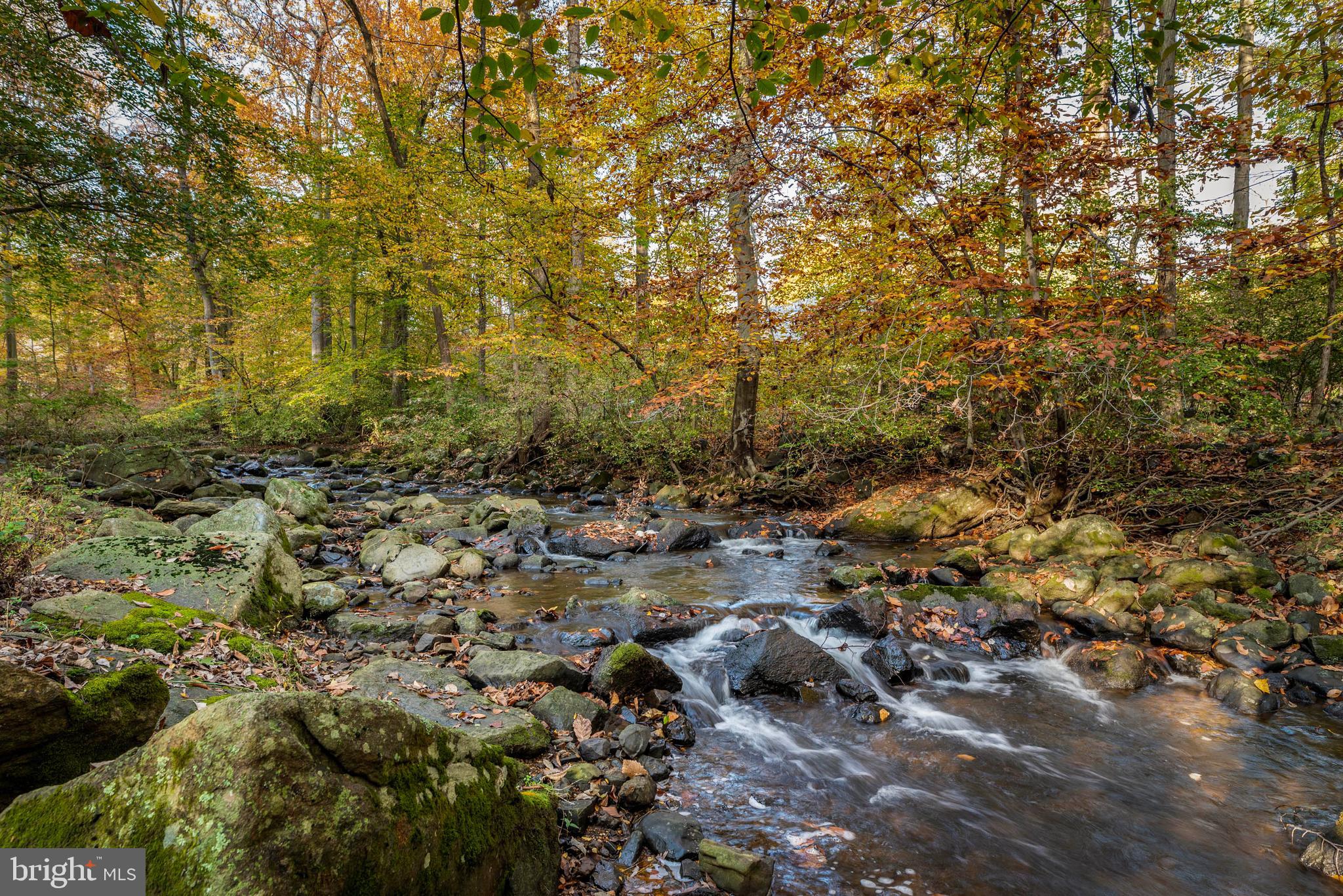 38 Rabbit Run Road Malvern, PA 19355 - Photo 61 of 67 Tranquil Setting.