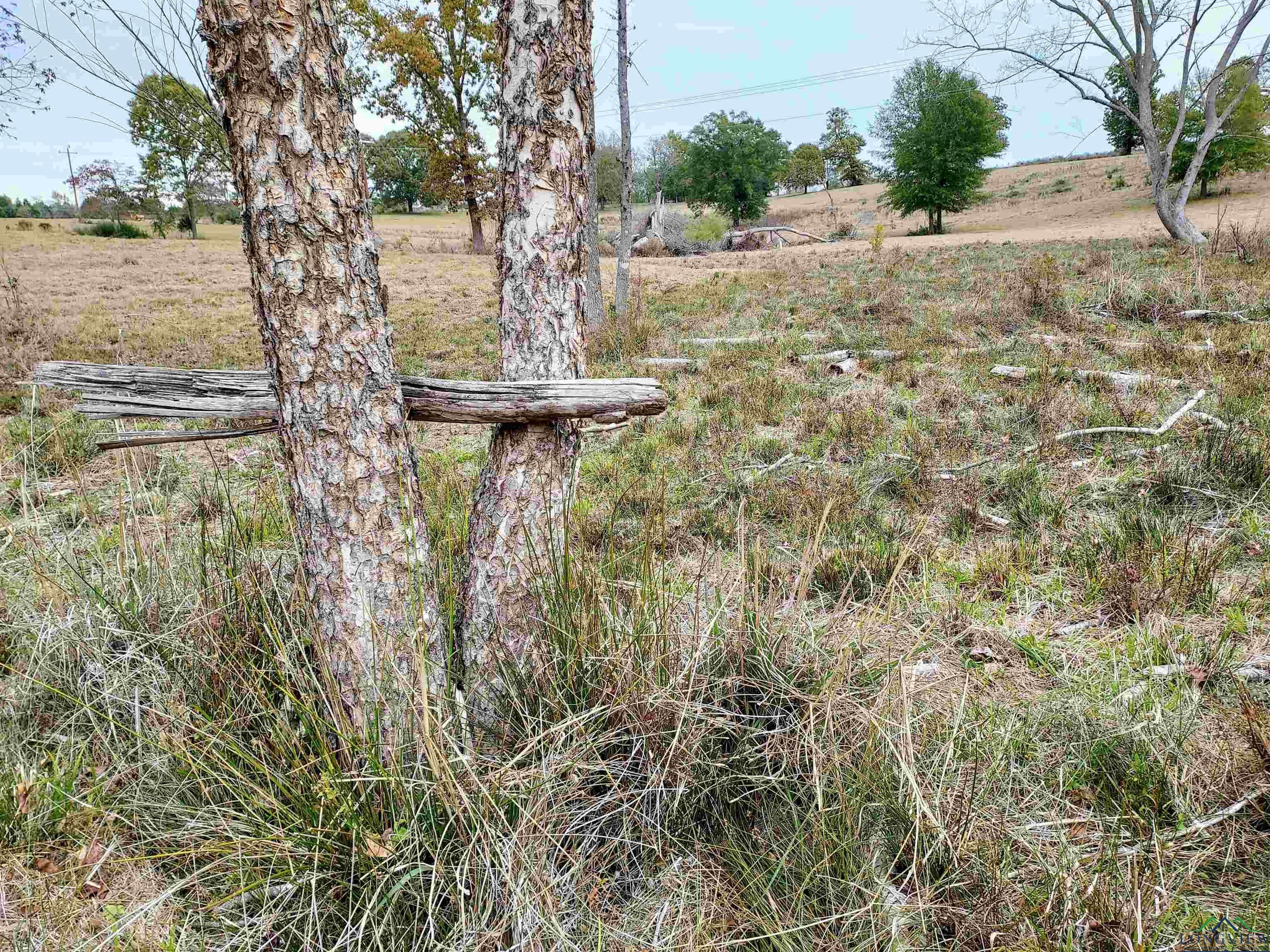 Tbd Almond Road Big Sandy, TX 75755 - Photo 28 of 36 Gallery Image 28