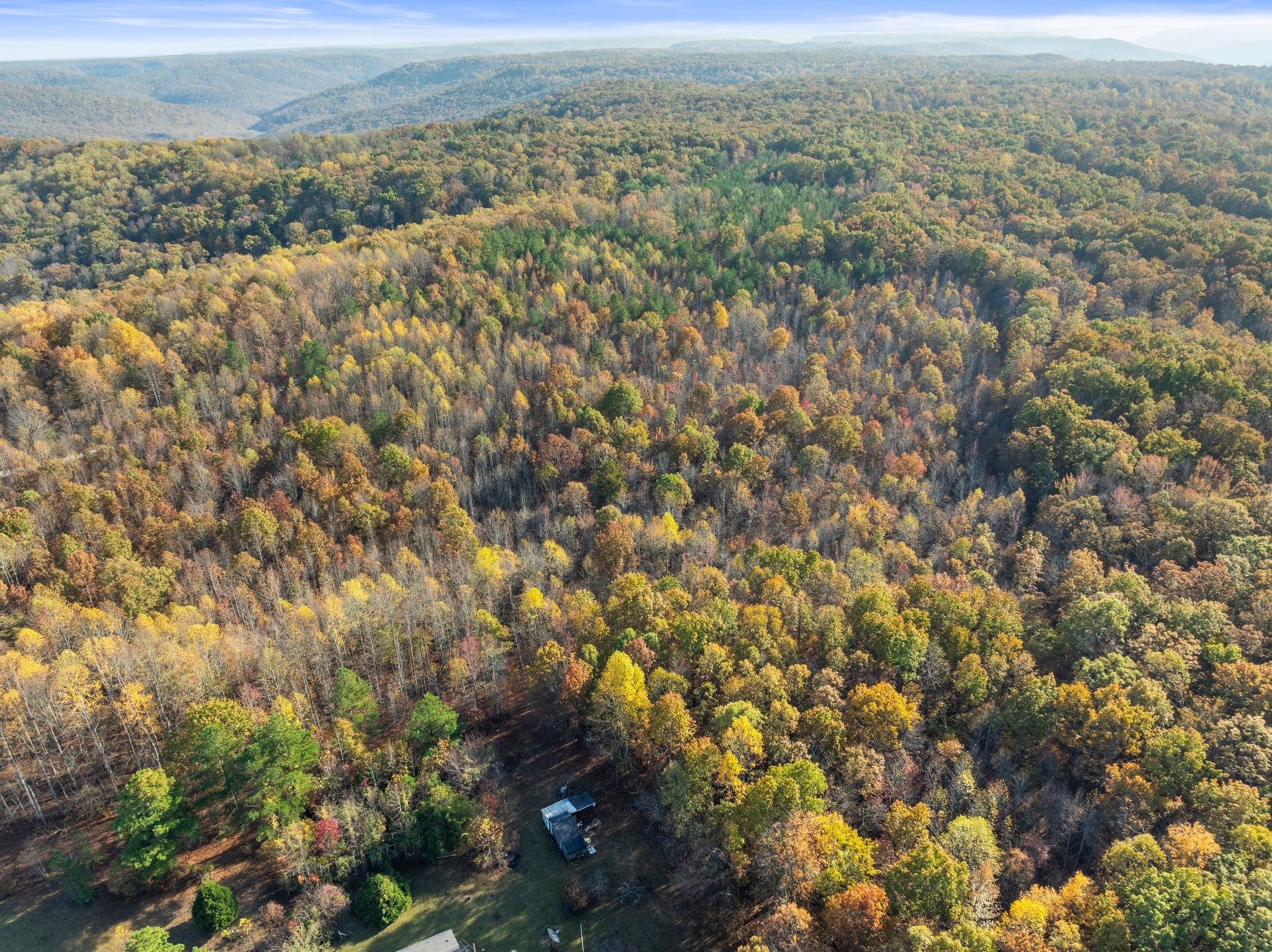 0 Old Shook Road Belvidere, TN 37306 - Photo 14 of 18 a view of a city with lush green forest
