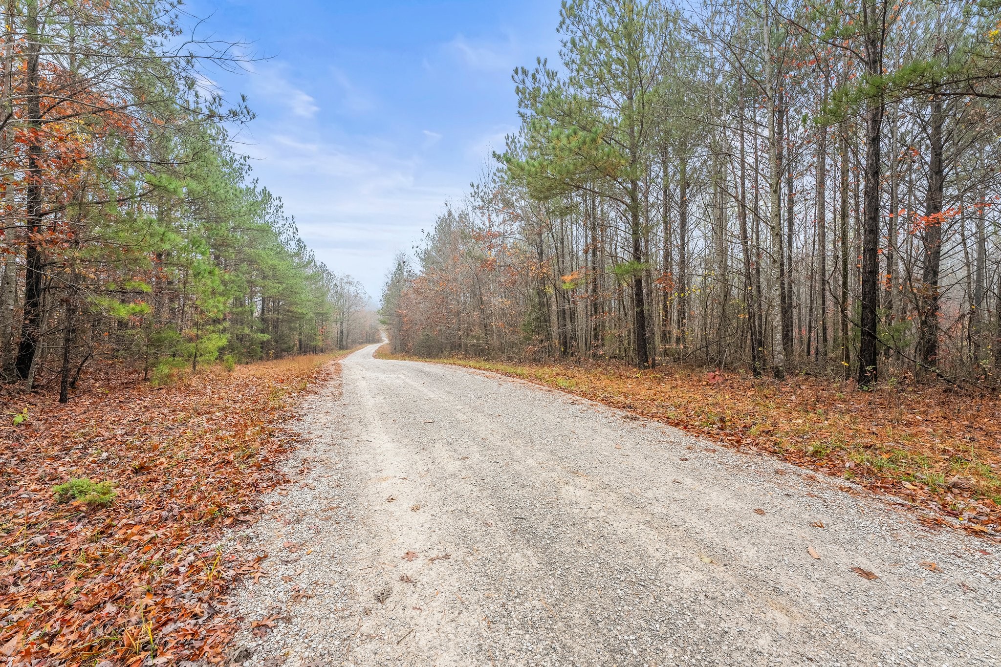 0 Old Shook Road Belvidere, TN 37306 - Photo 3 of 18 a view of a yard with trees