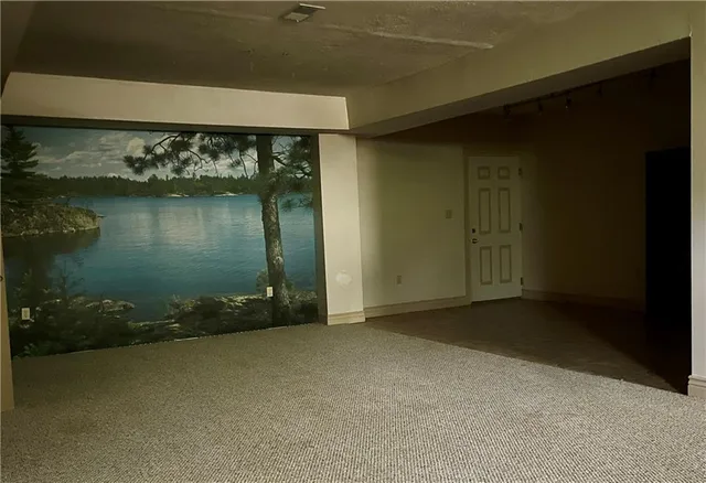 a view of a park with large trees