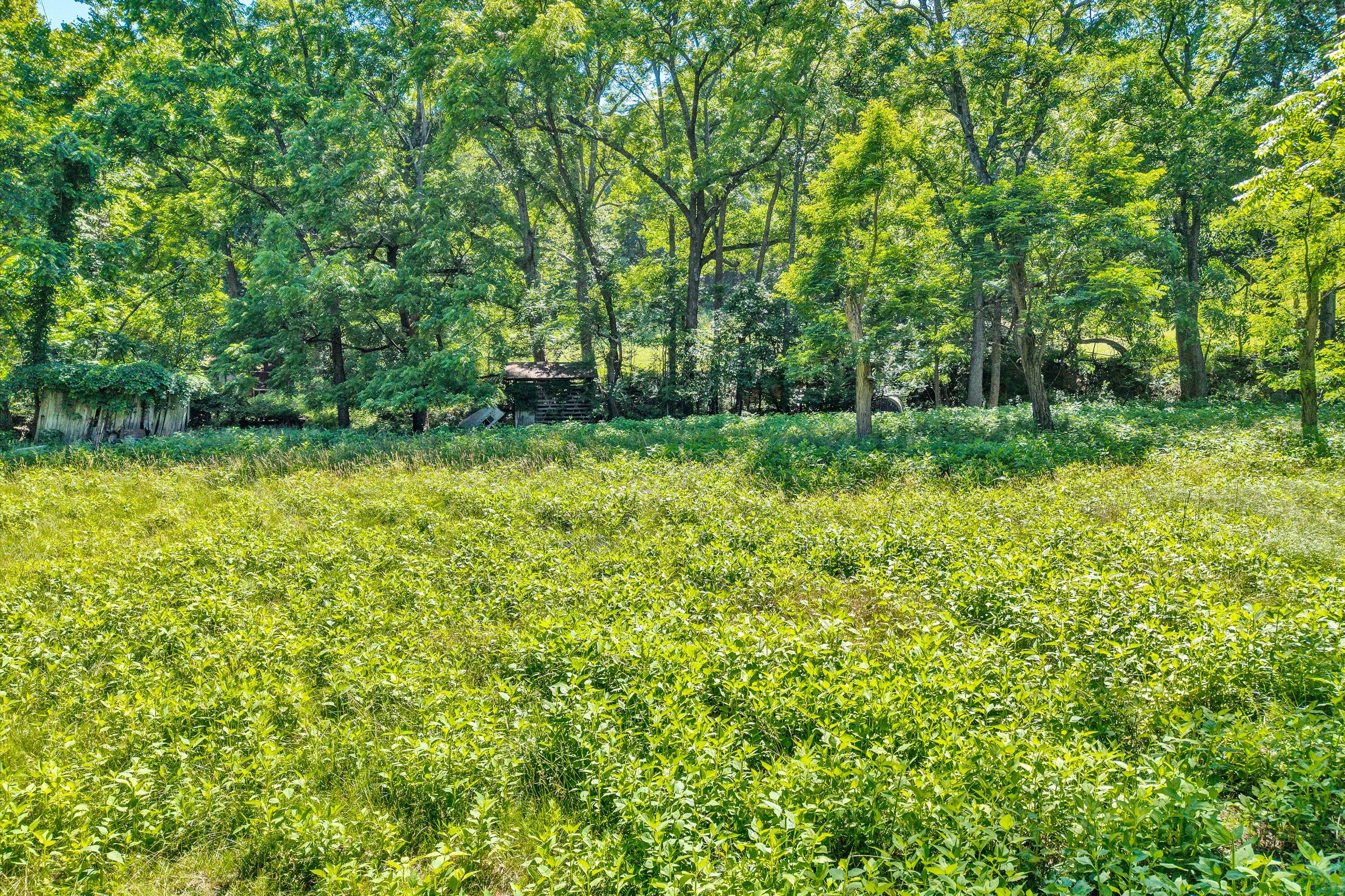 2241 Blue Ridge Springs Road Blue Ridge, VA 24064 - Photo 24 of 28 Land view