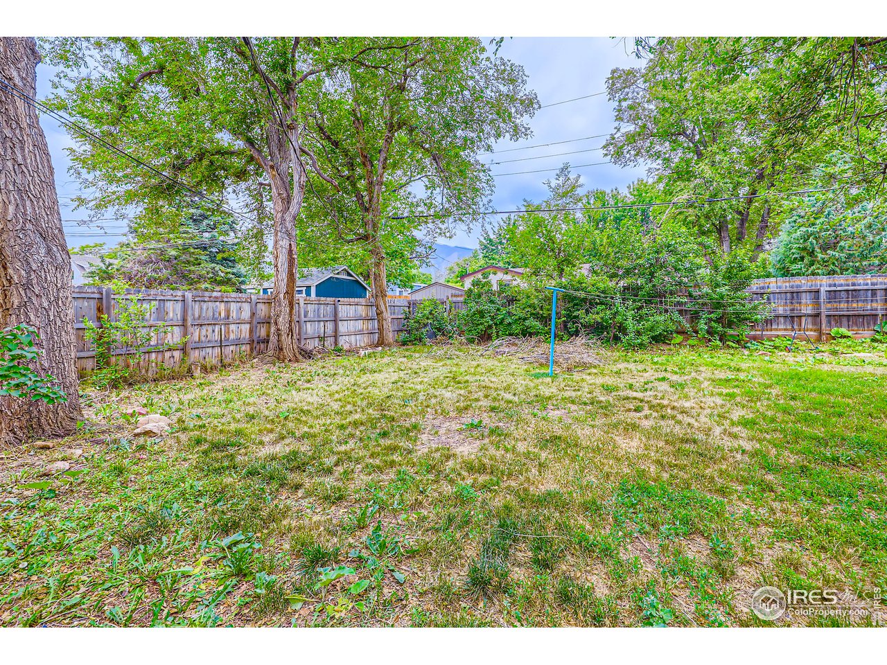 315 29th Street Boulder, CO 80305 - Photo 21 of 29 a view of a backyard with a garden