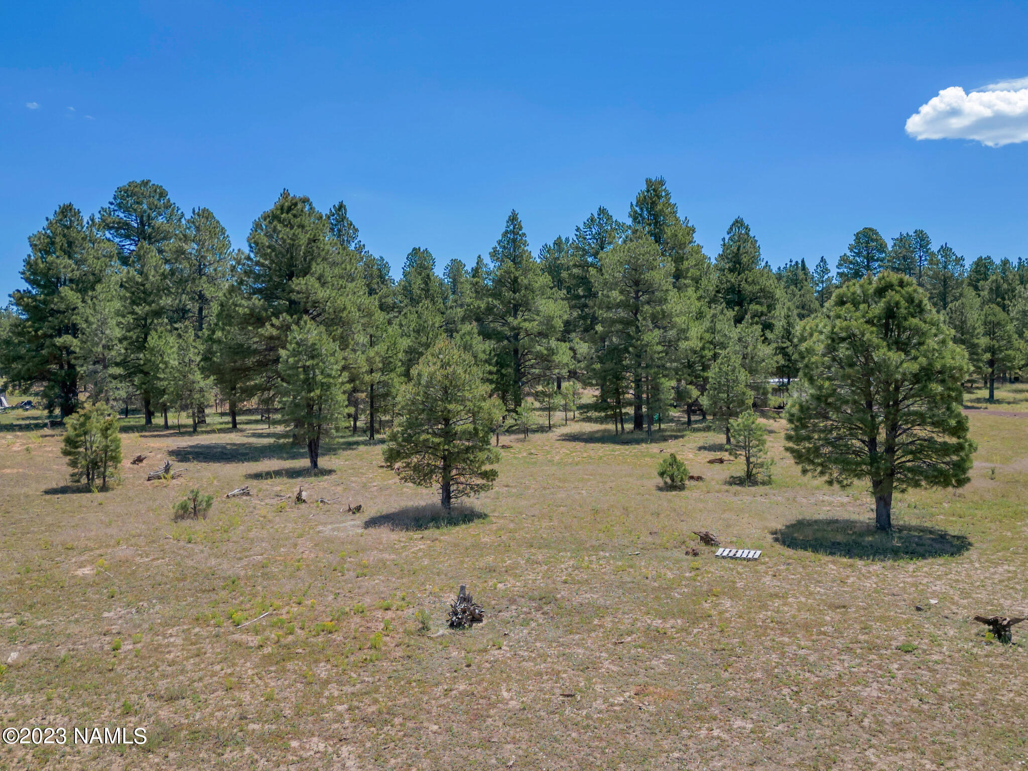 131 High Meadow Lane Flagstaff, AZ 86005 - Photo 2 of 15 Gorgeous 10 acre property