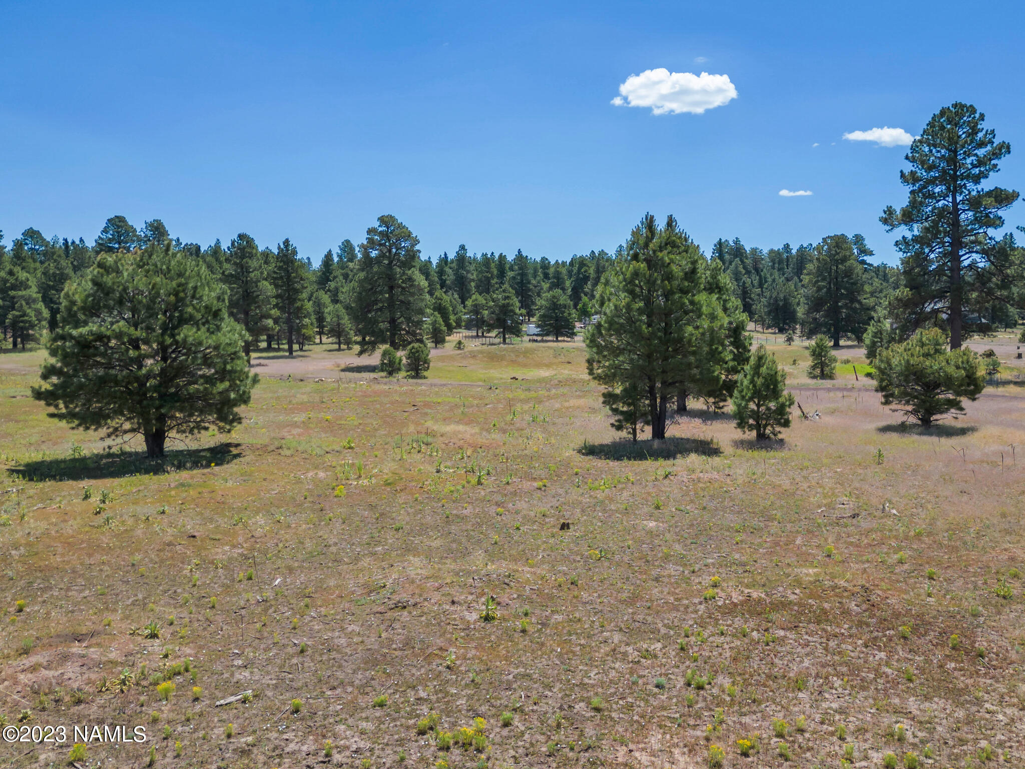 131 High Meadow Lane Flagstaff, AZ 86005 - Photo 3 of 15 Gorgeous 10 acre property