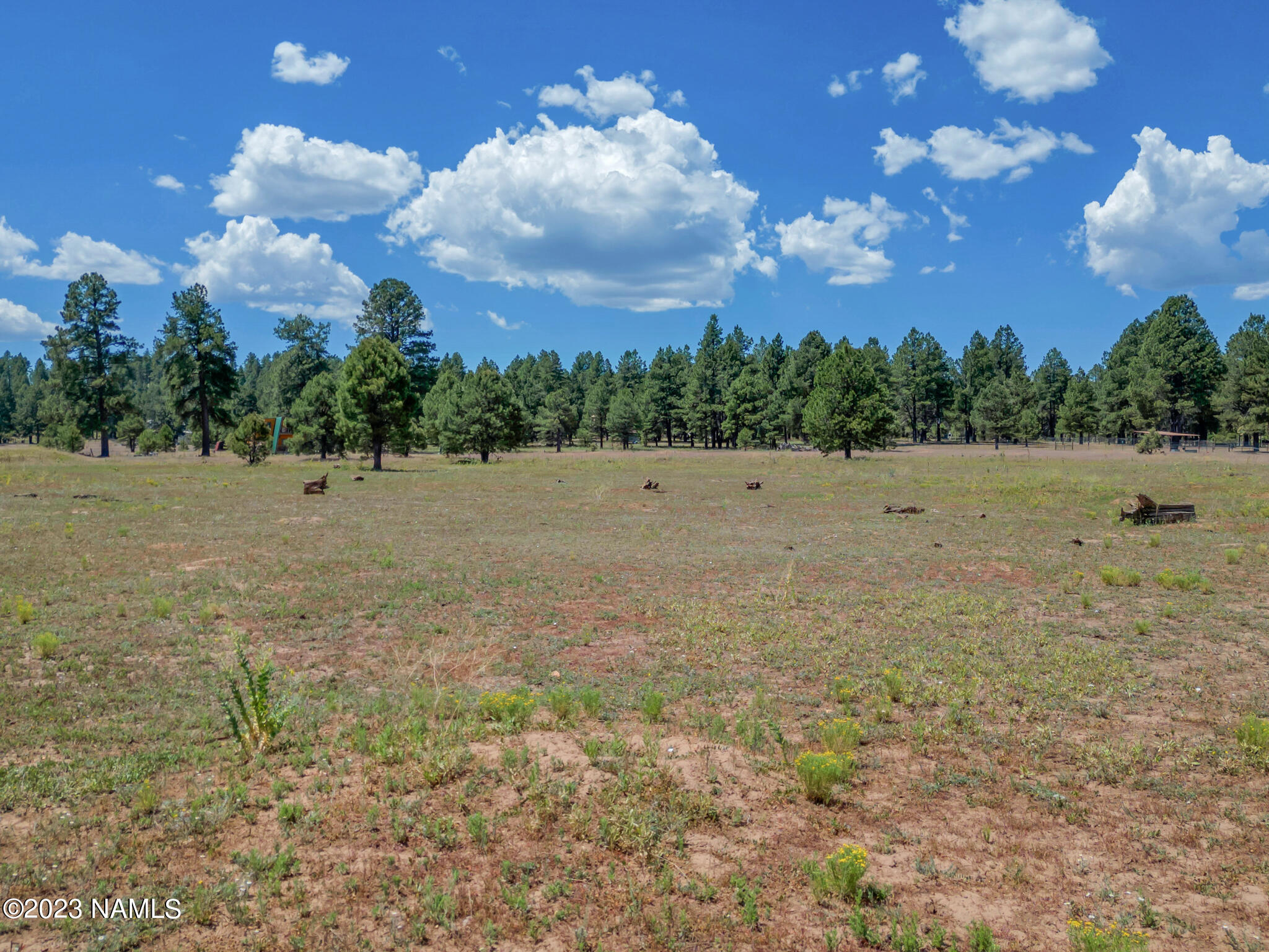 131 High Meadow Lane Flagstaff, AZ 86005 - Photo 4 of 15 Gorgeous 10 acre property