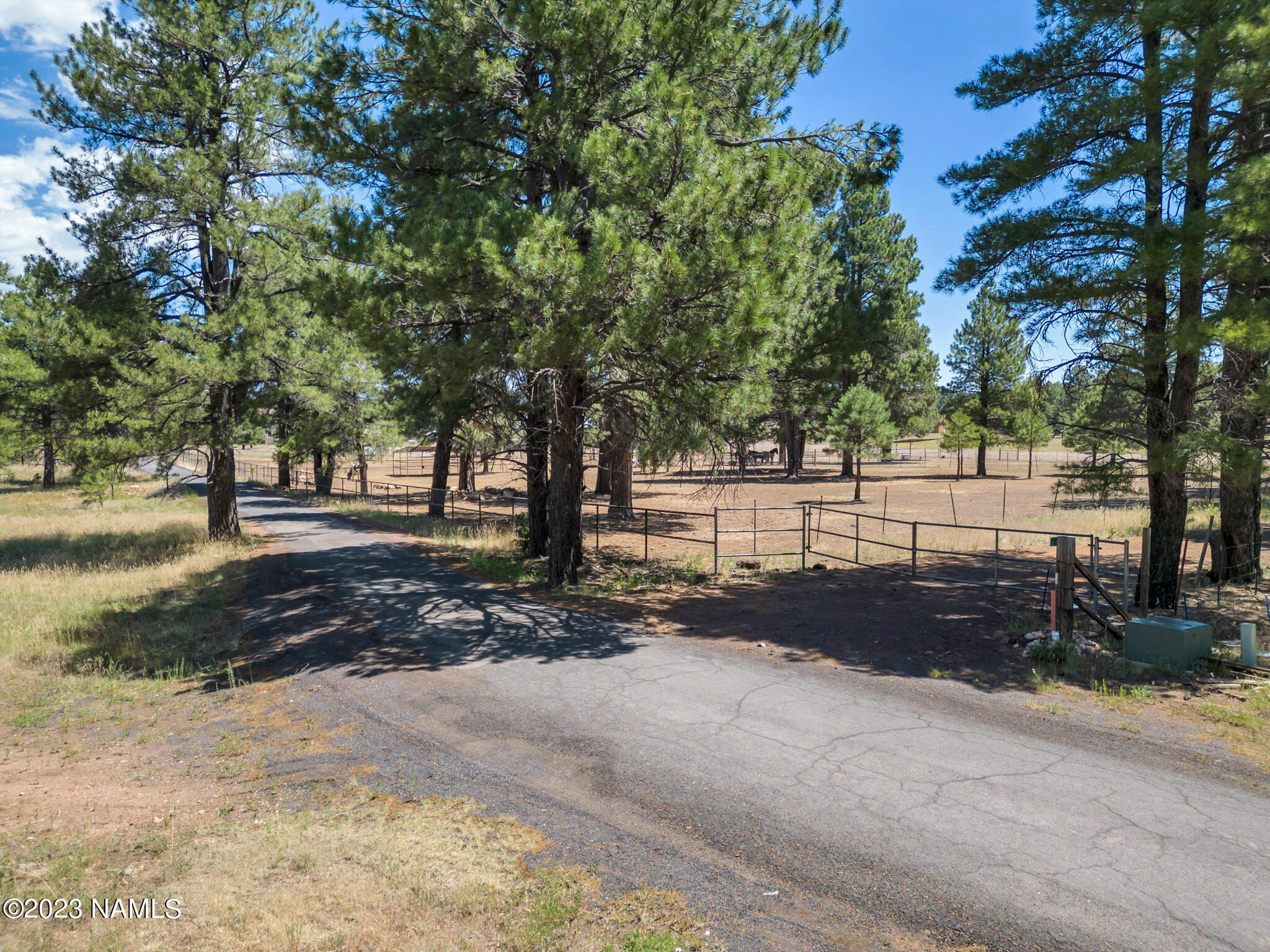 131 High Meadow Lane Flagstaff, AZ 86005 - Photo 8 of 15 View of road to property