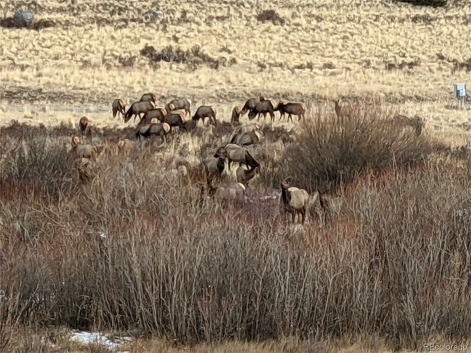 0 Snow Cap Peaks Road Fairplay, CO 80440 - Photo 20 of 20
