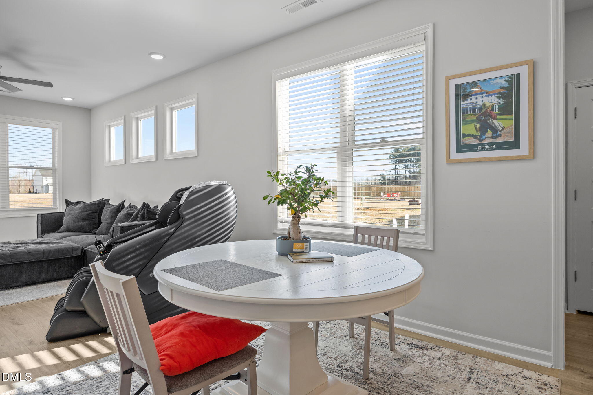 295 Springtooth Drive Zebulon, NC 27597 - Photo 10 of 36 29-web-or-mls-IMG_3325