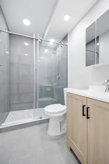 a bathroom with a shower and toilet