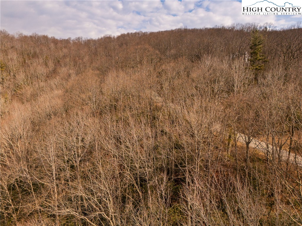 1122 Pine Ridge Road Beech Mountain, NC 28604 - Photo 26 of 38 a view of mountain with trees in the background