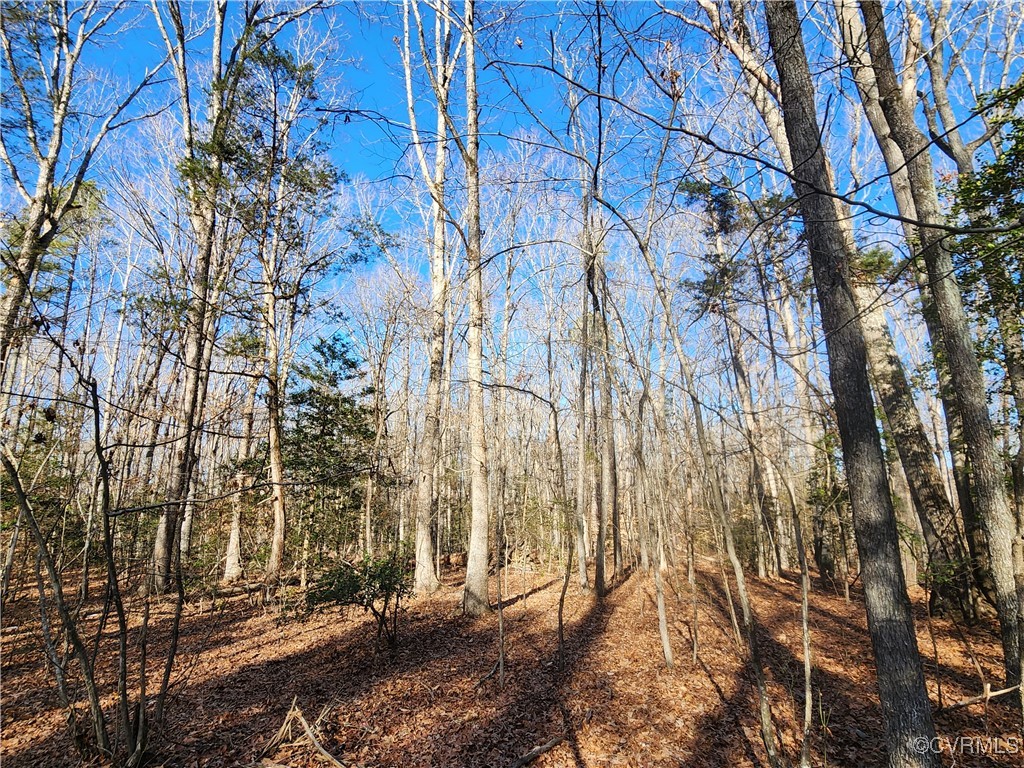 Welcome to Hartley Woods