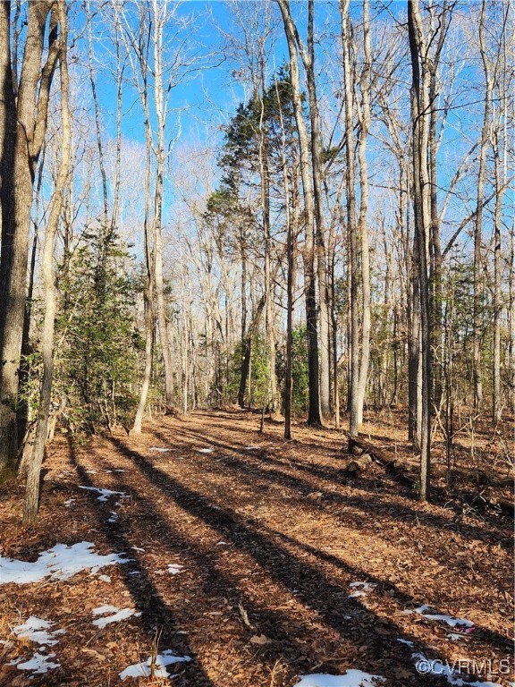 0 Hartley Road Beaverdam, VA 23015 - Photo 11 of 22