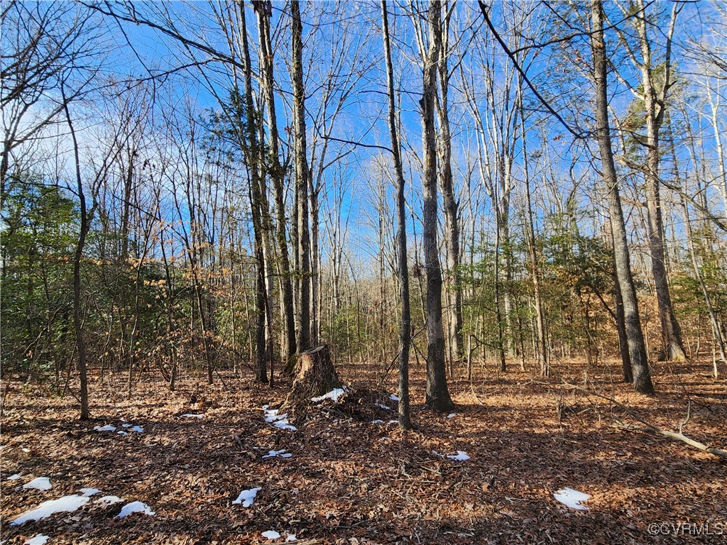 0 Hartley Road Beaverdam, VA 23015 - Photo 12 of 22