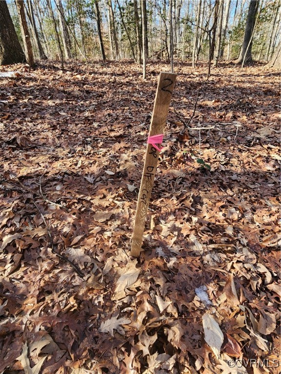 0 Hartley Road Beaverdam, VA 23015 - Photo 13 of 22 The septic locations are marked with wooden stakes