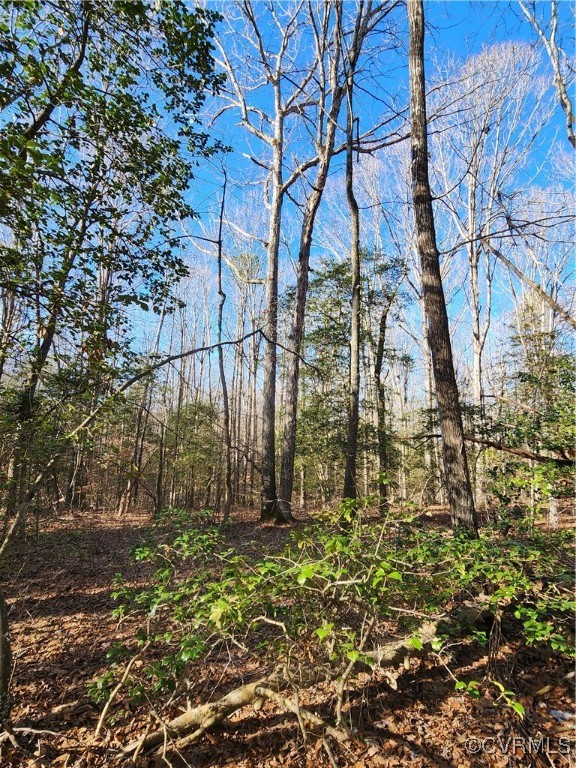 0 Hartley Road Beaverdam, VA 23015 - Photo 16 of 22