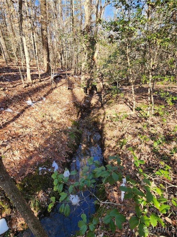 0 Hartley Road Beaverdam, VA 23015 - Photo 17 of 22 One of two creeks on the property.