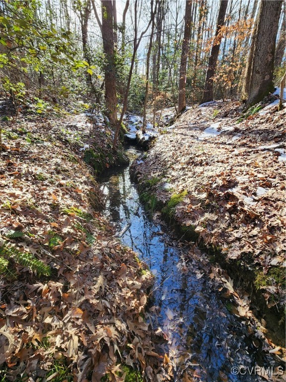 0 Hartley Road Beaverdam, VA 23015 - Photo 18 of 22