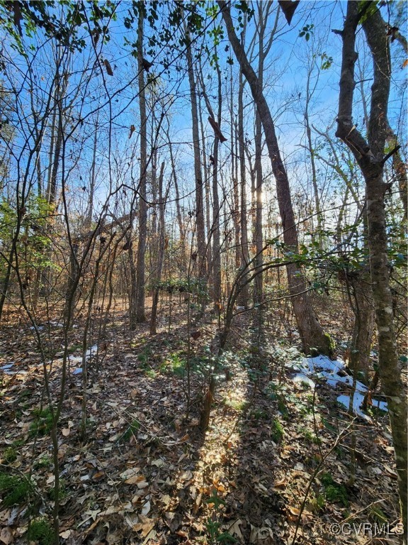 0 Hartley Road Beaverdam, VA 23015 - Photo 19 of 22