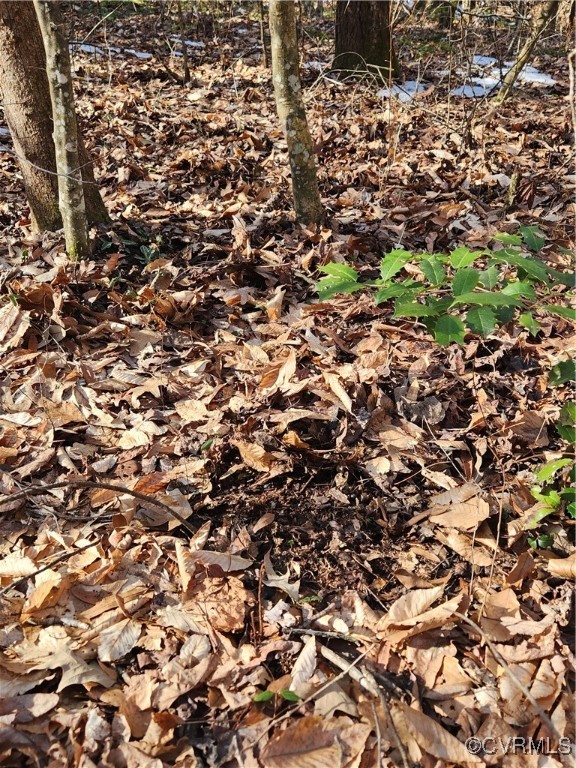 0 Hartley Road Beaverdam, VA 23015 - Photo 20 of 22 Fresh turkey sign!