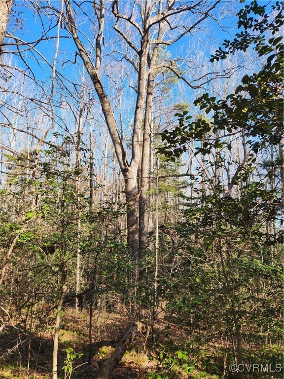 0 Hartley Road Beaverdam, VA 23015 - Photo 22 of 22 Thanks for visiting Hartley Woods.