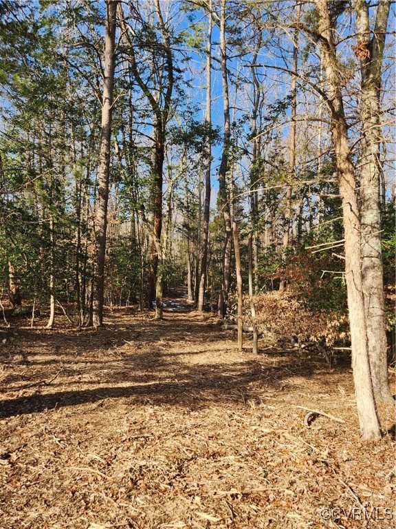 0 Hartley Road Beaverdam, VA 23015 - Photo 4 of 22 The owner installed mulch paths for easy walking.