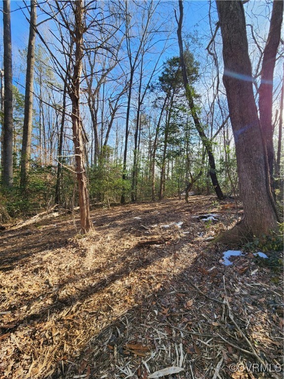 0 Hartley Road Beaverdam, VA 23015 - Photo 5 of 22 Mature hardwoods make up the majority of the land.