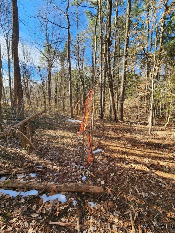 0 Hartley Road Beaverdam, VA 23015 - Photo 6 of 22 Fresh ribbons mark all the boundaries.
