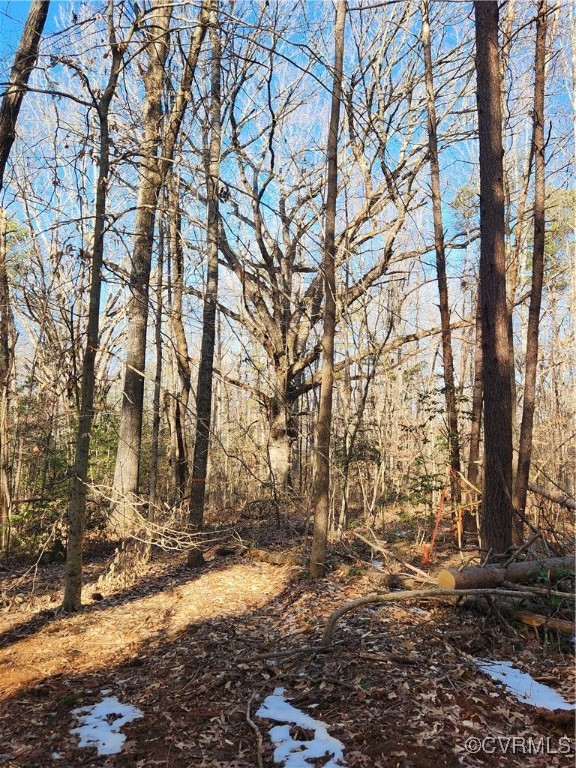 0 Hartley Road Beaverdam, VA 23015 - Photo 7 of 22 Two old homesite trees nestled on Lot 1. These wi