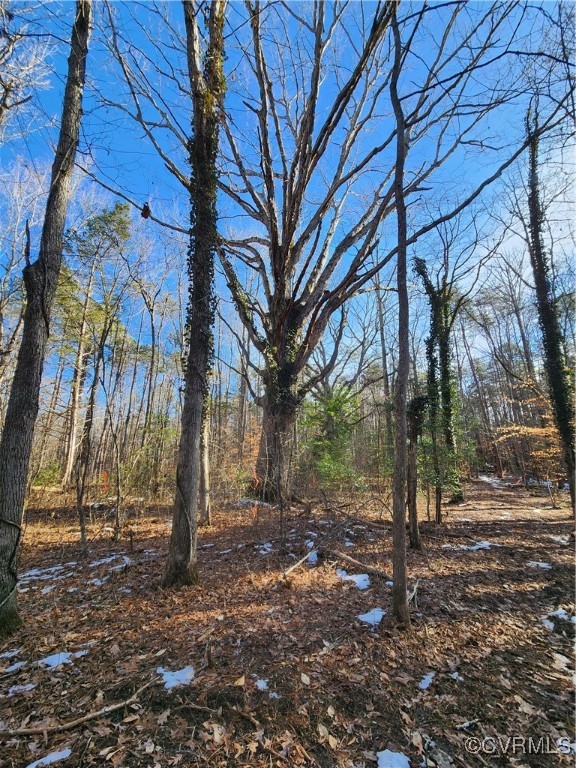 0 Hartley Road Beaverdam, VA 23015 - Photo 8 of 22