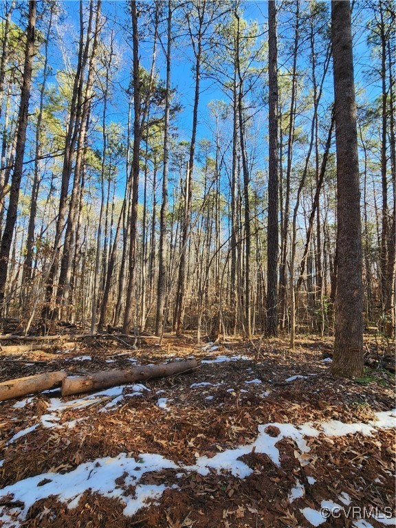 0 Hartley Road Beaverdam, VA 23015 - Photo 9 of 22 Some areas have mature pines