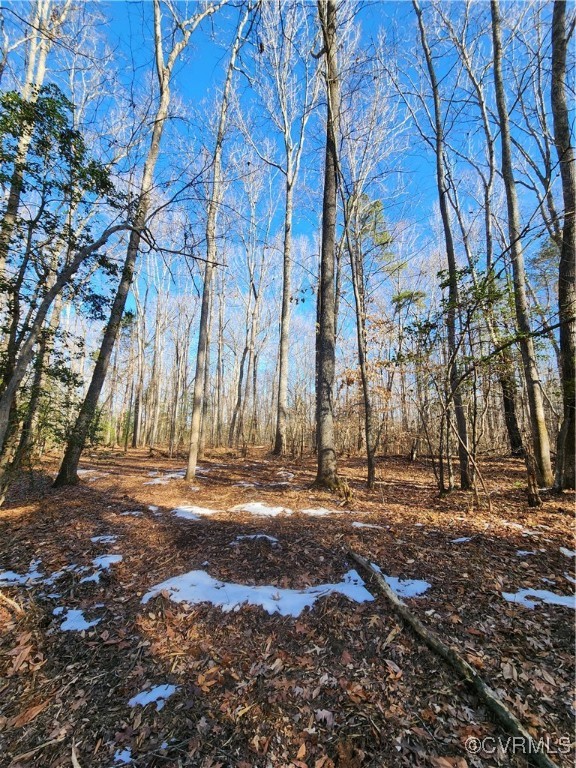 0 Hartley Road Beaverdam, VA 23015 - Photo 10 of 22