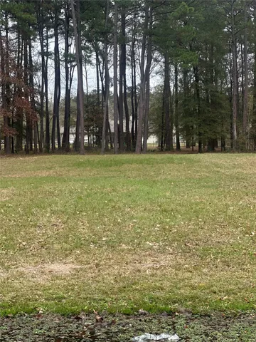 a view of outdoor space with trees