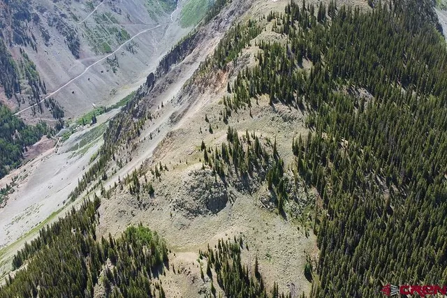 a view of a forest with a forest