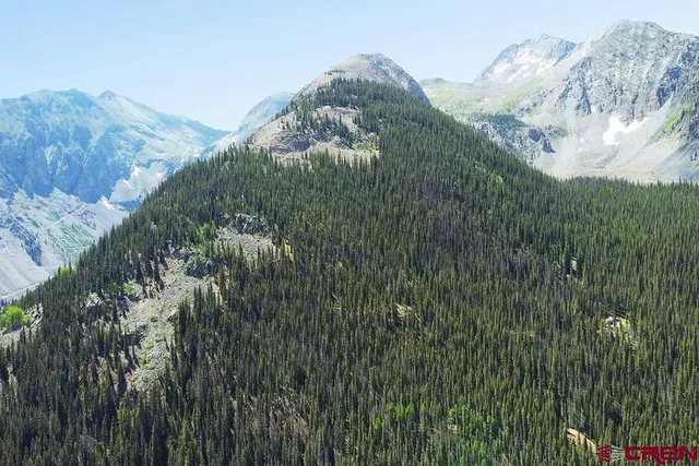 a view of a lush green forest with mountains in the background