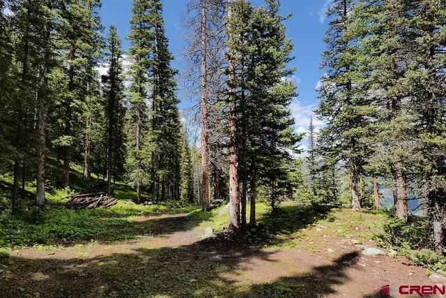 a view of a yard with plants and trees